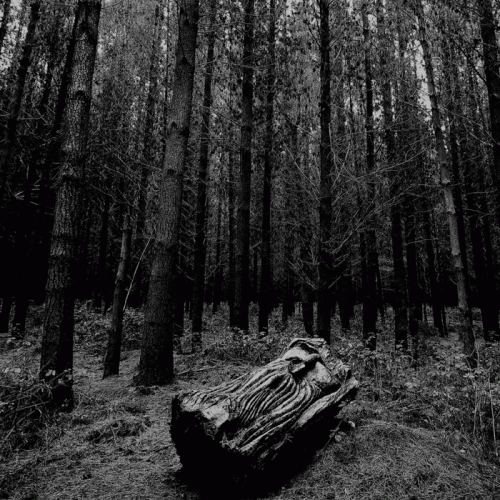 Men An Tol : Forgotten Realm (Single)